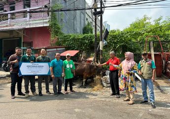 Sambut Idul Adha 1444 H, Kompas Gramedia Salurkan Hewan Kurban