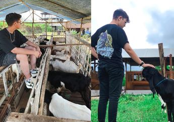 JURAGAN Kambing Ini Ternyata Mantan Artis Cilik Kondang, Sempat Adu Akting dengan Raffi Ahmad, Begini Nasibnya Sekarang!