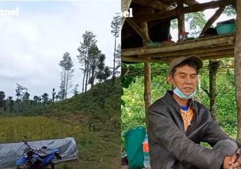 Dulu Hidup Enak jadi Pejabat, Sriyono Kini Pilih Tinggal di Hutan Belantara Bareng Keluarga, Lihat Penampakan Gubuknya