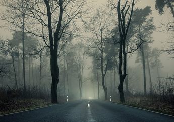 7 Arti Mimpi Tersesat, Benarkah Pertanda Akan Alami Hal Buruk?