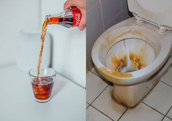 Malam-malam Iseng Tuangkan Minuman Coca-cola ke Dalam Kloset, Paginya Takjub Lihat Sekeluarga Berebut Buat Mandi, Kenapa ya?