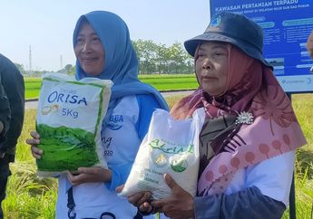 GEMBIRANYA Komunitas Petani Alami Klaten (KOMPAK), Andalkan Pupuk Organik Racikan Sendiri, Hemat Ratusan Ribu