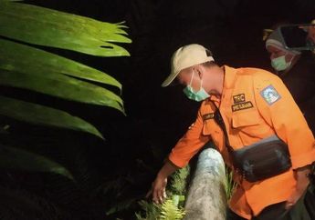 5 Potongan Tubuh Korban Mutilasi Ditemukan di Sleman, Yogyakarta, Ada Bagian Perut hingga Potongan 2 Kaki