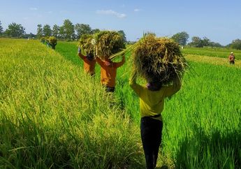 Cuma 3 Bahan! Petani Alami Klaten (KOMPAK) Binaan Danone - AQUA Bagikan Racikan Pupuk Organik, Hemat Ratusan Ribu!