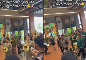 Orang Kaya Gabut Gelar Pesta Pernikahan Adat Jawa Mewah di Kawasan Elit, Pengantinnya Ternyata Bukan Manusia