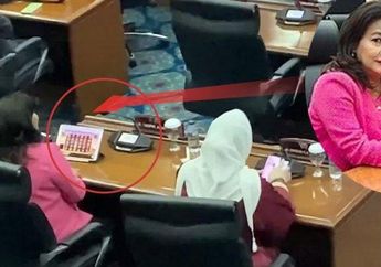 REKAM Jejak Cinta Mega, Anggota DPR RI yang Bantah Main Slot Saat Rapat, Pernah Diperiksa KPK Terindikasi Terima Duit Haram