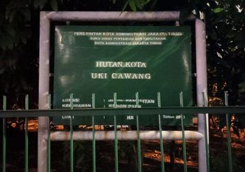 Terungkap Beragam Profesi Kelompok LGBT Hutan Kota Cawang Jaktim, Kebanyakan Disebut High Class, Ini Buktinya