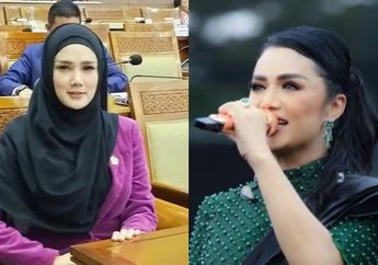 10 Artis yang Cicipi Kursi Parlemen sebagai Wakil Rakyat, dari Kris Dayanti sampai Mulan Jameela