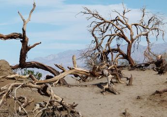 Innalillahi Wa Innailaihi Rojiun, 6 Orang Meninggal Dunia di Papua Akibat Kekeringan, Diare dan Dehidrasi Jadi Penyebabnya!