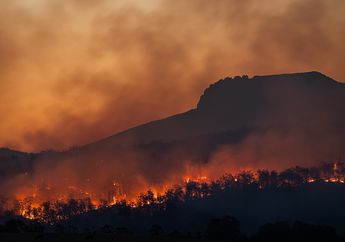 Kebakaran Hutan Terjadi di Gunung Gundil Situbondo, Api Melahap Lahan Seluas 15 Hektar, Langit Berubah Merah Mencekam