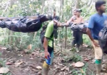Video Penambang Emas Tandu Jenazah Rekannya Viral di TikTok, Jalan Kaki Seharian Menuju Kampung, Jasad Dibungkus Terpal