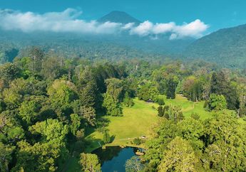 Kebun Raya Bogor sebagai Solusi Healing dari Polusi Ibu Kota