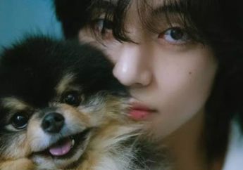 Terjemahan Lirik Lagu Baru V BTS, &nbsp;RAINY DAYS, Cek yuk ARMY!