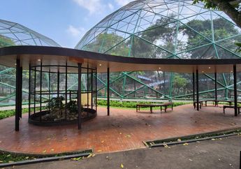 Taman Burung Jagat Satwa Nusantara: Rumah bagi Satwa Langka seperti Burung Elang Jawa dan Myzomela Irianawidodoae