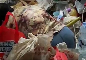 Sempat Ngeri Gegara Bau Busuk, Tuan Tanah&nbsp;Tercengang Saat Temukan Tumpukan Sampah Setinggi Jendela di Apartemen Sewaannya