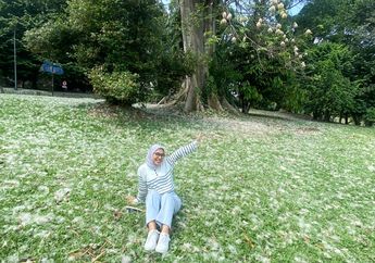 Salju Cantik Kembali Hadir Hiasi Hamparan di Kebun Raya Bogor