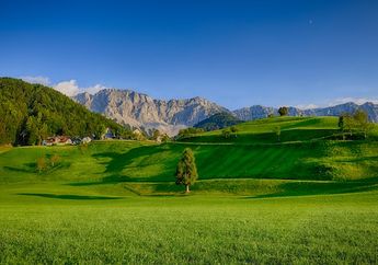5 Arti Mimpi Lari-lari di Padang Rumput, Ternyata Jadi Pertanda Pencarian Tujuan Hidup? Simak Penjelasannya