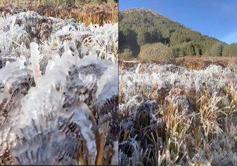 Bak Berada di Film FROZEN, Video Embun Beku di Bromo Jadi Sorotan, BMKG dan TNBTS Jelaskan Fenomena Alam
