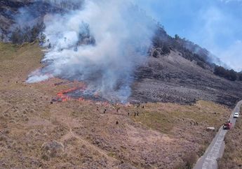Inilah Hasil Foto Prewedding yang Sebabkan Kebakaran Hutan di Gunung Bromo, Manajer WO Jadi Tersangka!