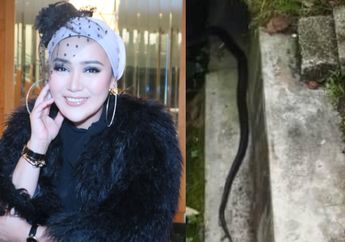Temukan Ular Hitam di Depan Rumah, Artis Cantik Ini Curiga Dikirim Guna-guna, Akui Pernah Muntah Darah Hebat