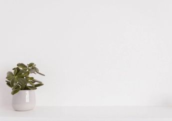 7 Arti Mimpi Tembok, Tak Semuanya Pertanda Buruk, Bisa Juga Bawa Kabar Baik Buat Pemimpinya