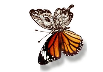 5 Shio Paling Mudah Mendapatkan Teman, si Social Butterfly yang Disukai Banyak Orang