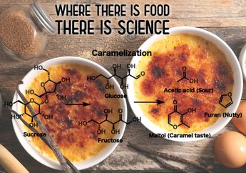 5 Shio Paling Cocok Jadi Saintis, Punya Rasa Tahu Tinggi dan Pemikiran Fleksibel