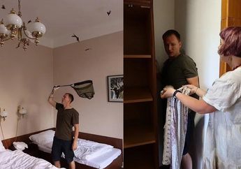 Turis Syok Temukan Kamar Hotel Dipenuhi Kelelawar, Petugas Malah Salahkan Tamu, Kok Bisa?
