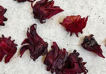 Ajaib! Simak 5 Manfaat Rosella, Si Merah Musuh Darah Tinggi