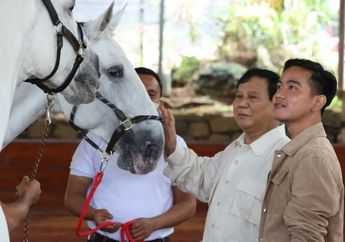 Gibran Rakabuming Fix Jadi Cawapres Prabowo, Ternyata Segini Harta Kekayaan sang Wali Kota Solo hingga Punya 7 Tanah di 2 Kota Ini