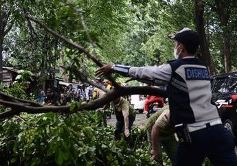 6 Arti Mimpi Pohon Tumbang, Bawa Kabar Baik Buat Para Pencari Jodoh
