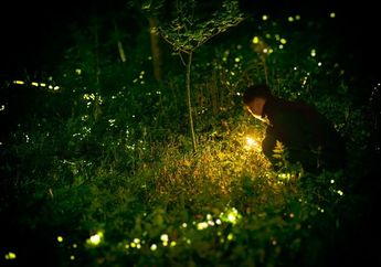 5 Arti Mimpi Bertemu dengan Mantan Saat Sedang Tidur, Ternyata Jadi Pertanda Ada Perasaan Belum Selesai dalam Hal Ini, Simak Penjelasannya