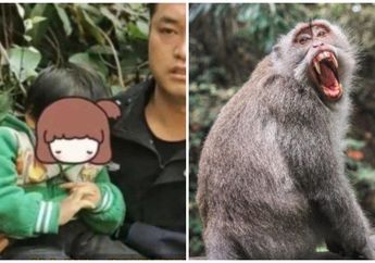 Astaga, Bocah 3 Tahun Diculik Monyet, Ditemukan di Tempat Tak Biasa Ini Usai Dengar Suara Tangisan: Susah Menemukannya