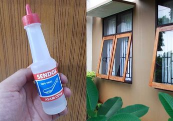 Bersyukur Rajin Semprot Cuka di Pinggir Jendela, Hewan yang Buat Kotor Rumah ini Gak Bakal Berani Datang Lagi