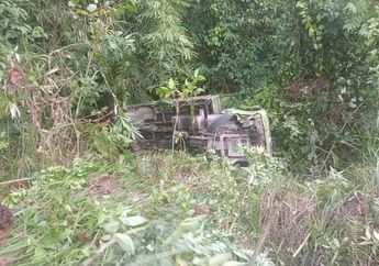 Innalillahi, Truk Terguling ke Jurang di Maluku Tengah, Tewaskan 4 Korban dan 37 Lainnya Luka-luka, Diduga Ini Penyebabnya