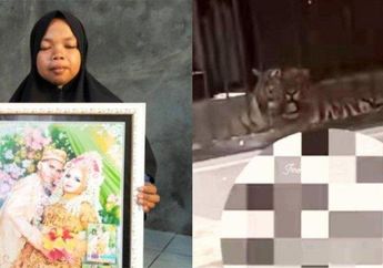 Terkuak Pesan Terakhir Karyawan yang Tewas Diterkam Harimau Majikan, Ucap Hal Ini ke sang Istri