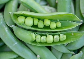 Punya Sisa Kacang Kapri di Kulkas? Coba Diolah Jadi Masakan Ini Saja, Hati Senang Perut Kenyang