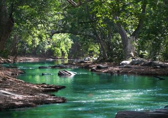4 Arti Mimpi Minum Air Sungai, Tentang Emosi dalam Diri sampai Keberuntungan