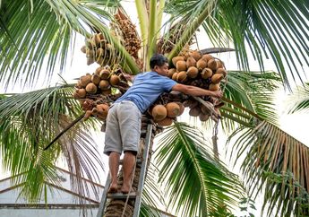 6 Arti Mimpi Jatuh dari Pohon, Awas Bawa Pertanda Buruk, Simbol Kehilangan hingga Kegagalan!
