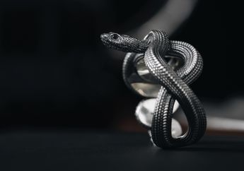 3 Arti Mimpi Ular Hitam, Apakah Pertanda Bahaya Akan Datang? Segera Simak!