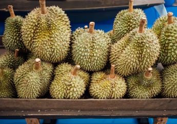 4 Arti Mimpi Makan Durian Busuk, Ada Kaitannya dengan Rezeki Tidak Halal