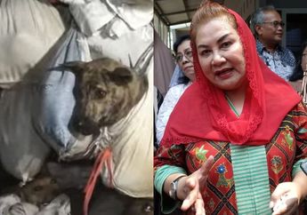 Viral, 226 Anjing yang Nyaris Dijagal di Semarang Berhasil Diamankan Polisi, Begini Respons Wali Kota