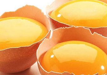 Dikenal Kaya Akan Kolestrol, Ternyata ini Cara Aman Makan Telur Supaya Bisa Tetap Tambah Berpiring-piring