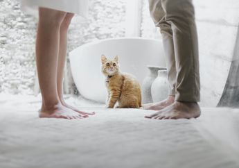 3 Arti Mimpi Berjalan Nyeker, Ternyata Ada Makna Positif dan Negatif, Cek Sekarang!