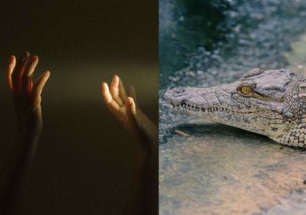 Nahas, Bocah 7 Tahun Meninggal Dunia Setelah Diterkam Buaya saat Bermain Bersama Teman-Temannya di Kolam Bekas Tambang