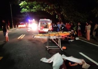 Innalillahi, Pengendara Motor di Kulon Progo Meninggal Dunia Usai Tabrak Pohon, Korban Diduga Mengantuk