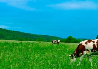 5 Arti Mimpi Warna Hijau, Sinyal Datangnya Kesempatan Emas, Hidup Bisa Naik Kelas