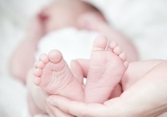 Astaghfirullah, Bayi Dibuang dalam Kardus di Panti Asuhan Bengkulu, Isi Surat Wasiat Tunjukkan Fakta Ini