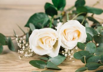 5 Arti Mimpi Diberi Hadiah Bunga Mawar Putih oleh Pria, Ternyata Jadi Pertanda Akan Datang Cinta yang Tulus? Simak Penjelasannya