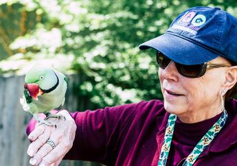 4 Arti Mimpi Kebun Binatang, Tanda Kamu Menemukan Kebahagiaan dan Energi Baru dalam Hidup!